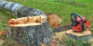 Tree and Shrub Care in Burgettstown, PA